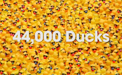 Special Olympics Illinois – Ducky Derby