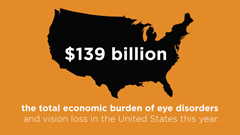 Prevent Blindness America – The Cost of Vision