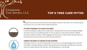 CTS_featured_image_template