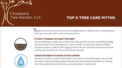 Crosstown Tree Service eBook