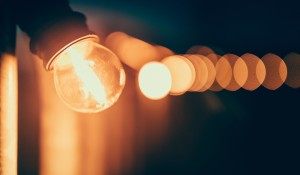 spotlight on sparkfactor